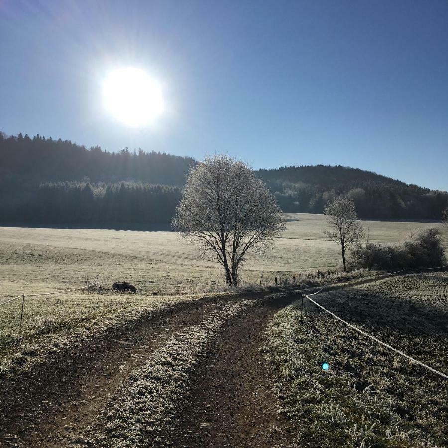 Gite La Janiat Montigny-sur-l'Ain Dış mekan fotoğraf