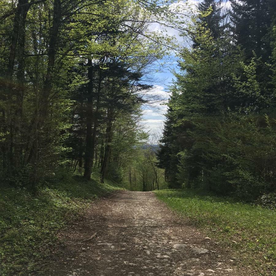 Gite La Janiat Montigny-sur-l'Ain Dış mekan fotoğraf